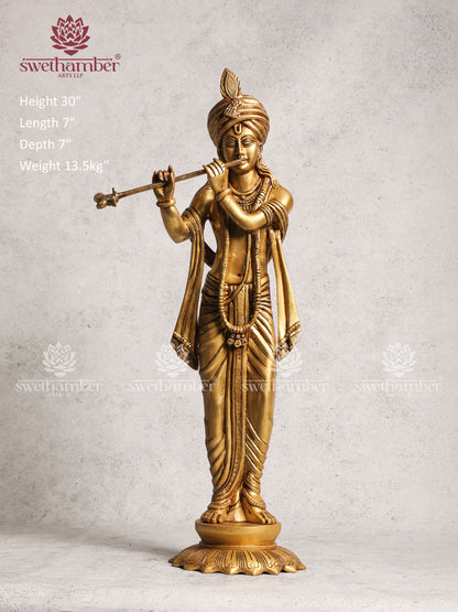 Brass Unique Krishna Idol