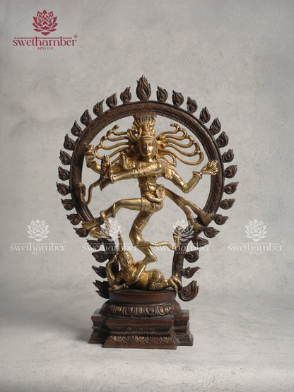 Decorative Brass Nataraja With Colour