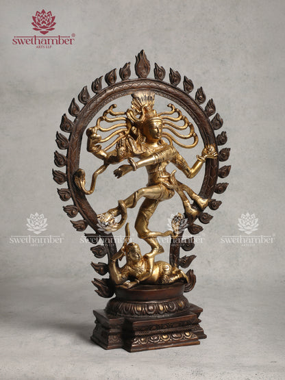 Decorative Brass Nataraja With Colour