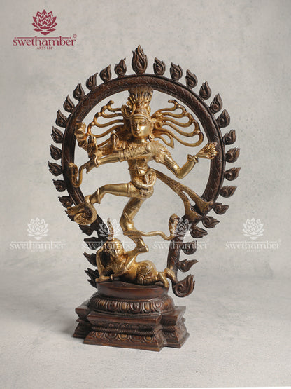 Decorative Brass Nataraja With Colour