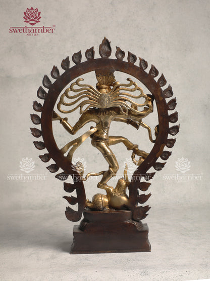 Decorative Brass Nataraja With Colour