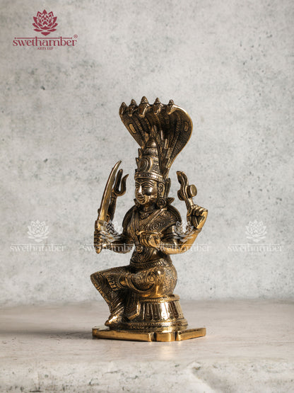 Divine Mariamman Amman Murti