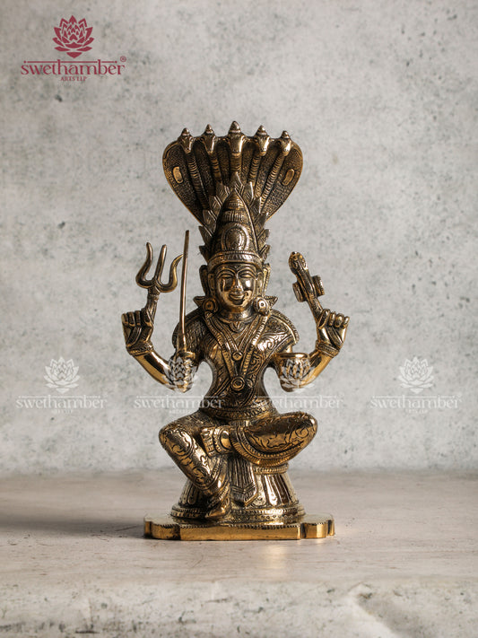 Divine Mariamman Amman Murti