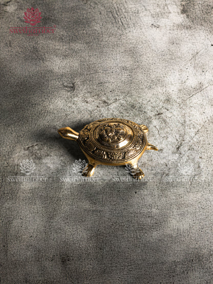 tortoise 1